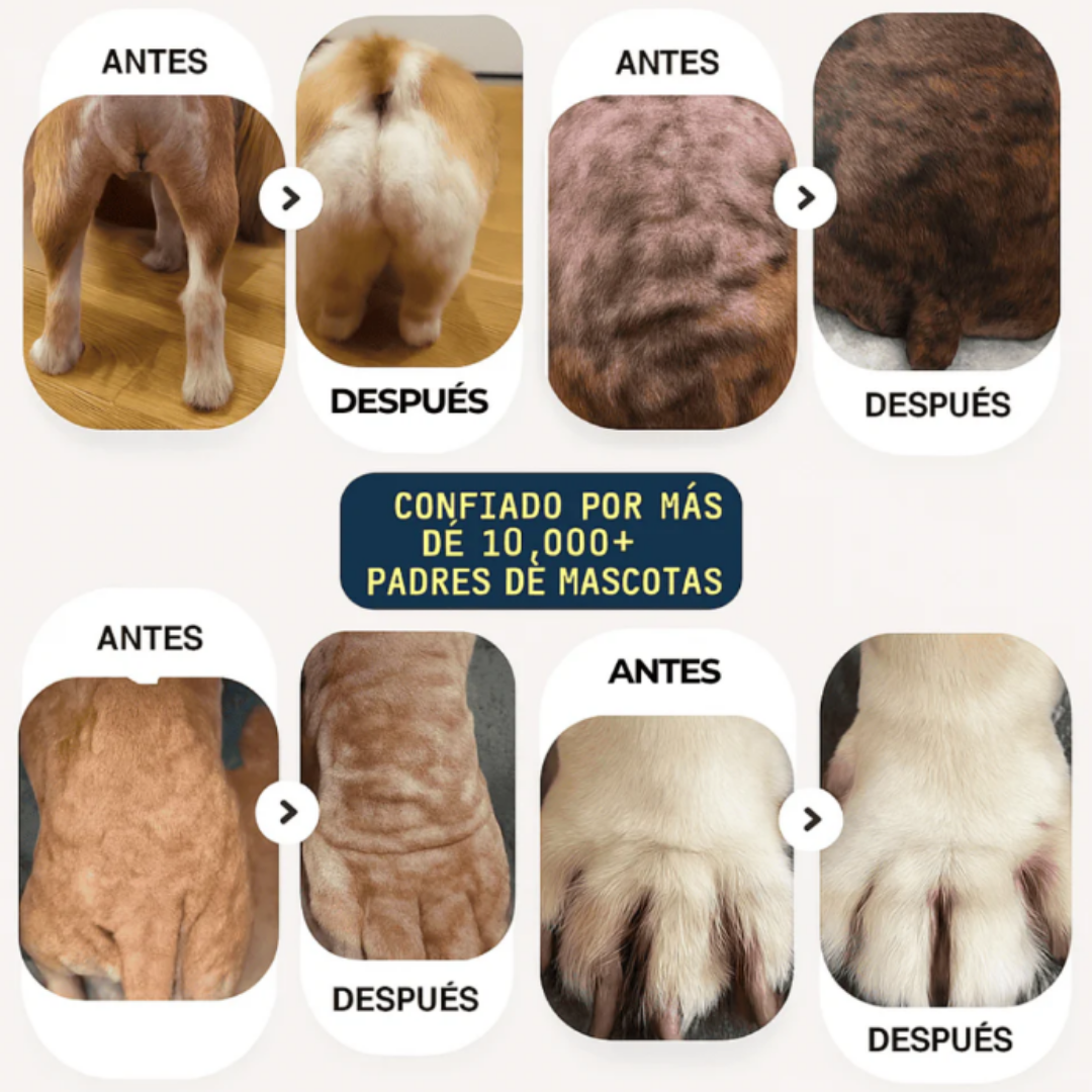 PET SKIN TRATAMIENTO NATURAL PARA PIEL ROJA, IRRITADA, CON GRANITOS O DERMATITIS