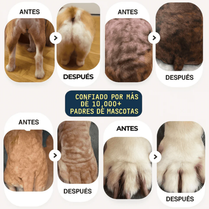 PET SKIN TRATAMIENTO NATURAL PARA PIEL ROJA, IRRITADA, CON GRANITOS O DERMATITIS