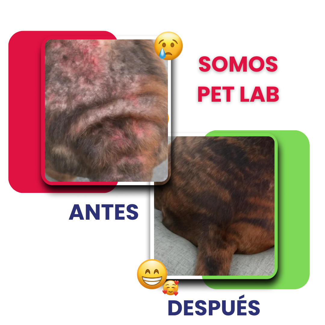 PET SKIN TRATAMIENTO NATURAL PARA PIEL ROJA, IRRITADA, CON GRANITOS O DERMATITIS