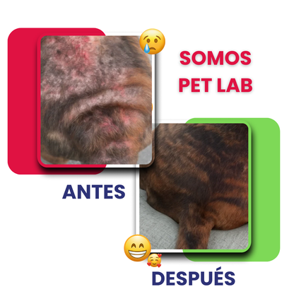 PET SKIN TRATAMIENTO NATURAL PARA PIEL ROJA, IRRITADA, CON GRANITOS O DERMATITIS